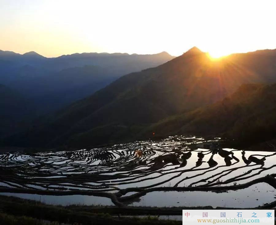 寿山石：一部福建发展史的纪录片