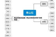 寿山石老挝石区别（寿山石和老挝石哪个更受欢迎）