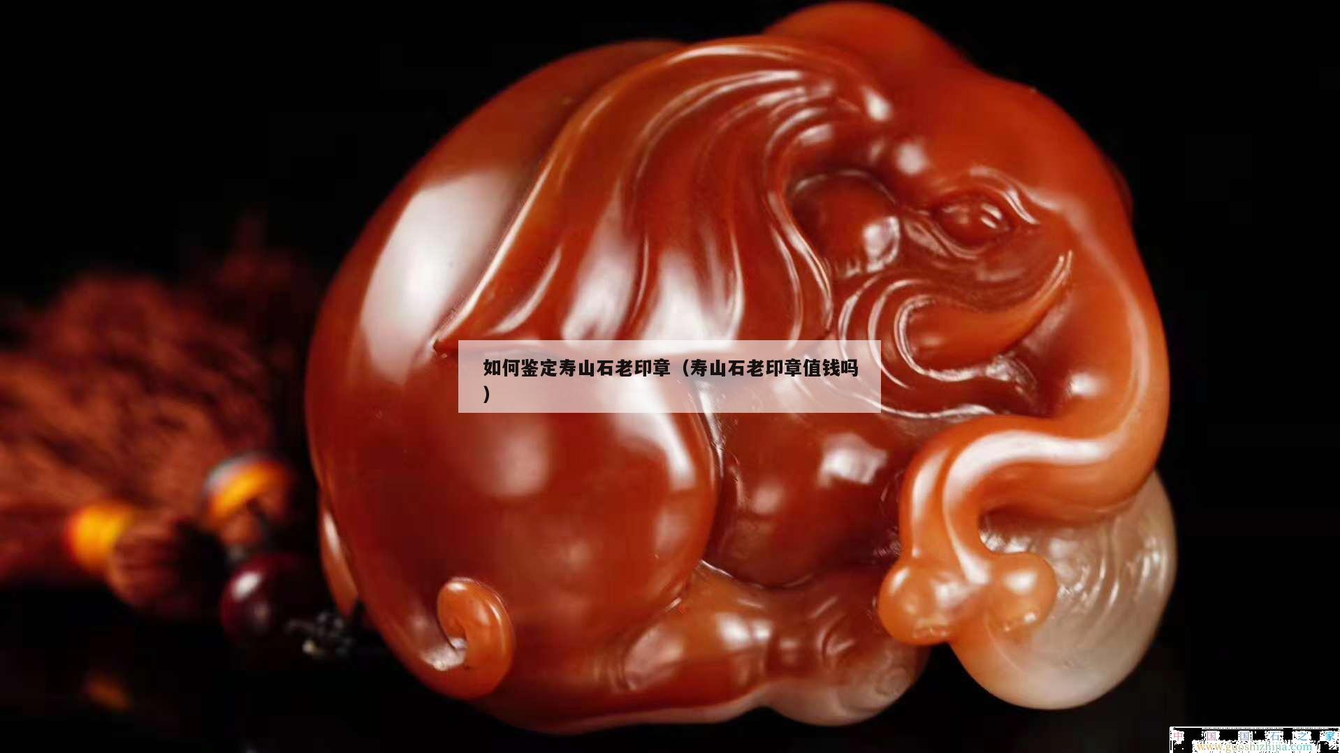 如何鉴定寿山石老印章（寿山石老印章值钱吗）