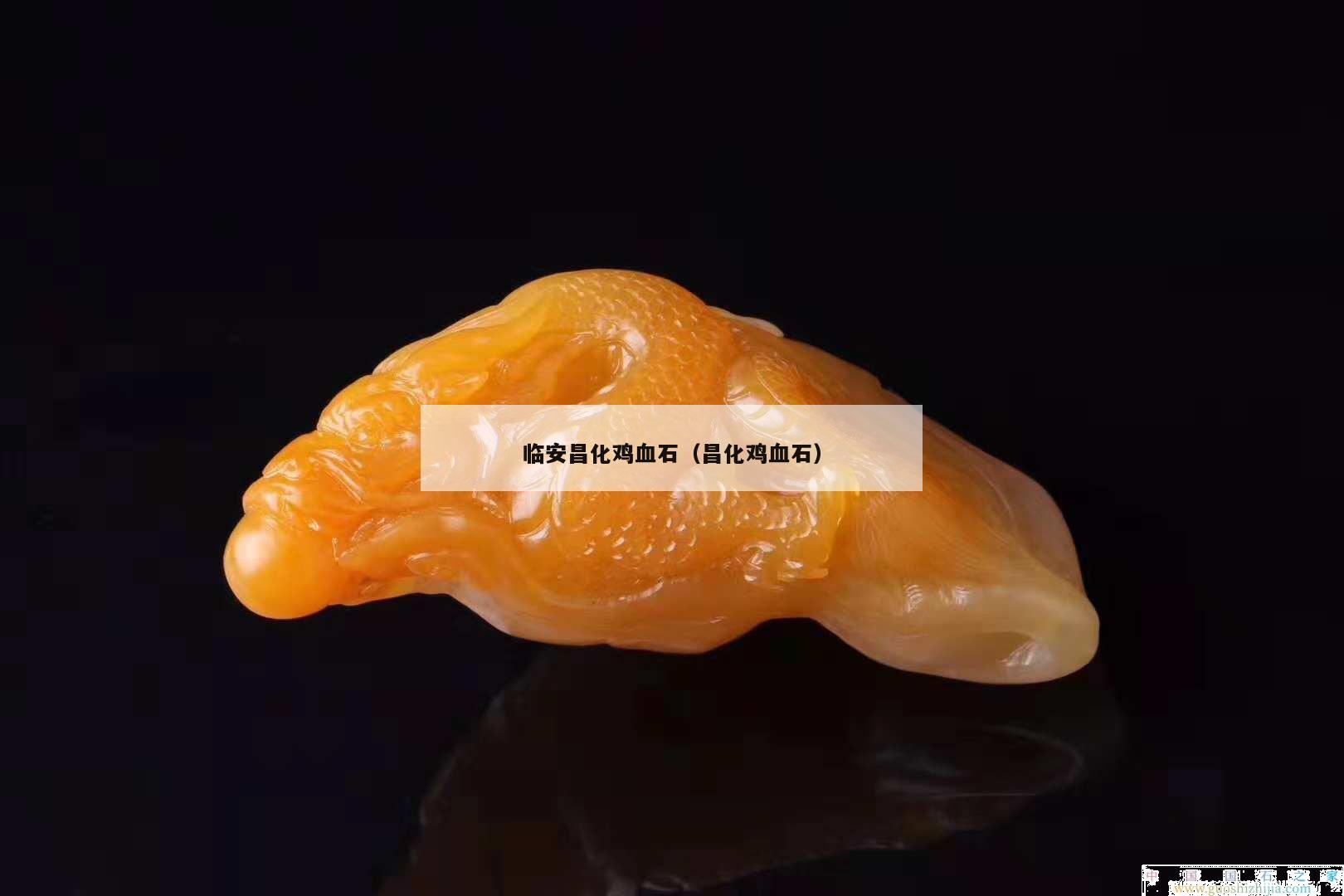 临安昌化鸡血石（昌化鸡血石）