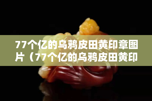 77个亿的乌鸦皮田黄印章图片（77个亿的乌鸦皮田黄印章图片）