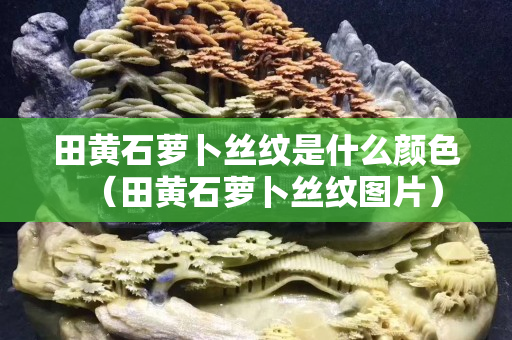 田黄石萝卜丝纹是什么颜色（田黄石萝卜丝纹图片）