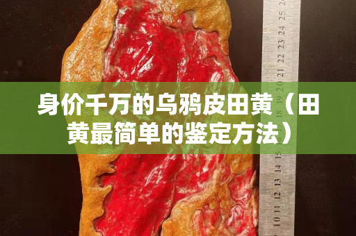 身价千万的乌鸦皮田黄（田黄最简单的鉴定方法）