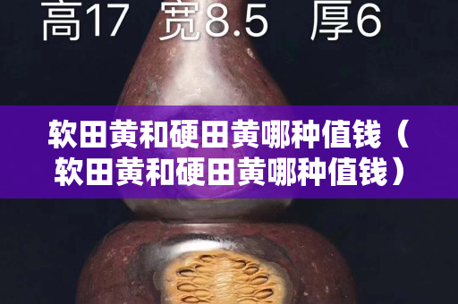 软田黄和硬田黄哪种值钱（软田黄和硬田黄哪种值钱）