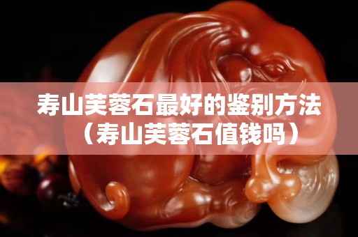 寿山芙蓉石最好的鉴别方法（寿山芙蓉石值钱吗）