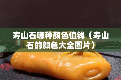 寿山石哪种颜色值钱（寿山石的颜色大全图片）