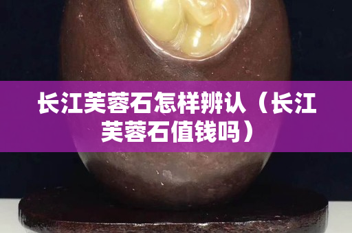 长江芙蓉石怎样辨认（长江芙蓉石值钱吗）
