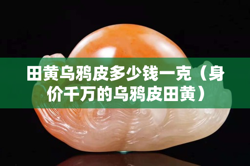 田黄乌鸦皮多少钱一克（身价千万的乌鸦皮田黄）