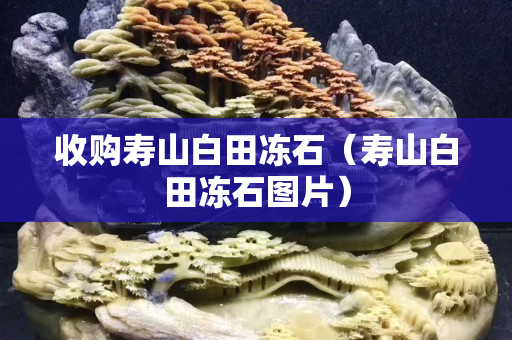 收购寿山白田冻石（寿山白田冻石图片）
