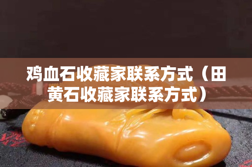 鸡血石收藏家联系方式（田黄石收藏家联系方式）