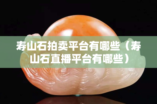 寿山石拍卖平台有哪些（寿山石直播平台有哪些）