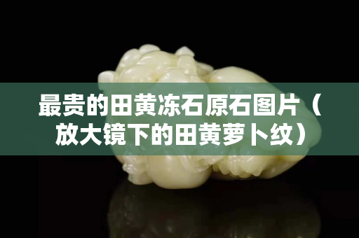 最贵的田黄冻石原石图片（放大镜下的田黄萝卜纹）