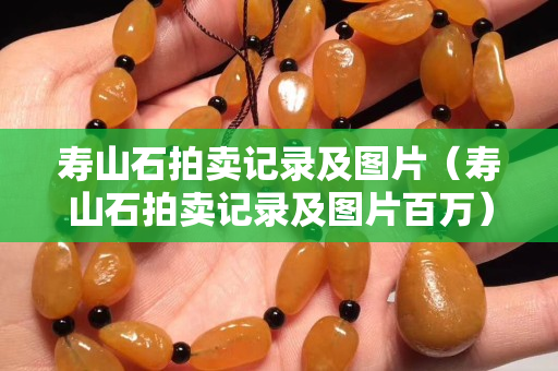 寿山石拍卖记录及图片（寿山石拍卖记录及图片百万）