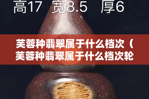 芙蓉种翡翠属于什么档次（芙蓉种翡翠属于什么档次轮胎）