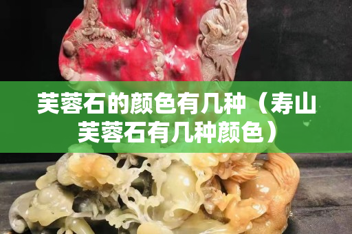 芙蓉石的颜色有几种（寿山芙蓉石有几种颜色）
