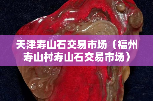天津寿山石交易市场（福州寿山村寿山石交易市场）