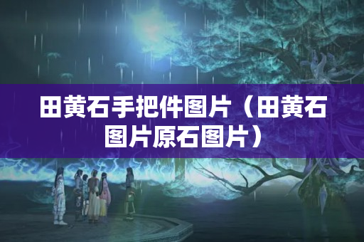 田黄石手把件图片（田黄石图片原石图片）
