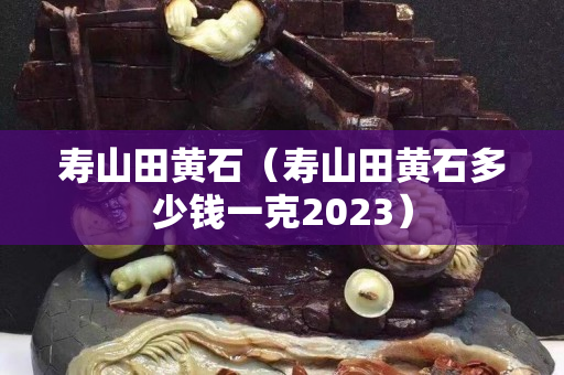 寿山田黄石（寿山田黄石多少钱一克2023）