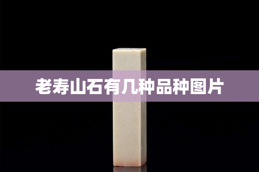 老寿山石有几种品种图片