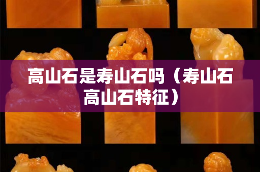 高山石是寿山石吗（寿山石高山石特征）