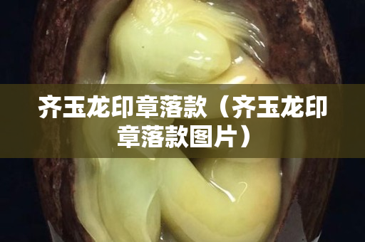 齐玉龙印章落款（齐玉龙印章落款图片）
