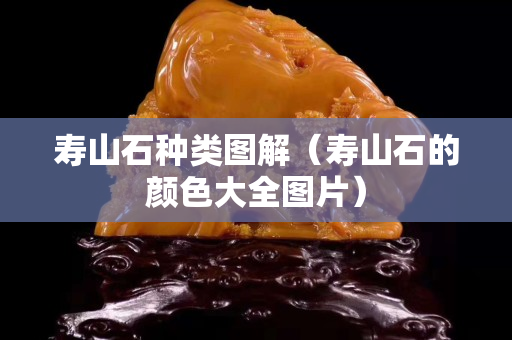 寿山石种类图解（寿山石的颜色大全图片）