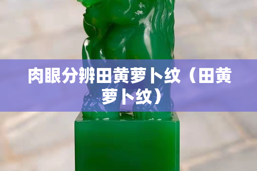 肉眼分辨田黄萝卜纹（田黄 萝卜纹）