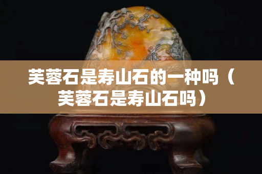 芙蓉石是寿山石的一种吗（芙蓉石是寿山石吗）
