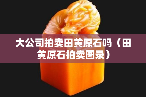 大公司拍卖田黄原石吗（田黄原石拍卖图录）