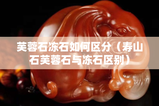 芙蓉石冻石如何区分（寿山石芙蓉石与冻石区别）