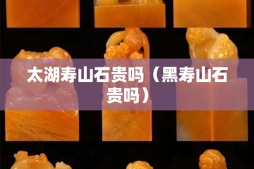 太湖寿山石贵吗（黑寿山石贵吗）