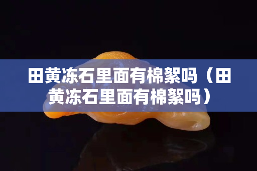 田黄冻石里面有棉絮吗（田黄冻石里面有棉絮吗）