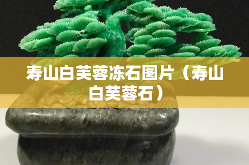 寿山白芙蓉冻石图片（寿山白芙蓉石）