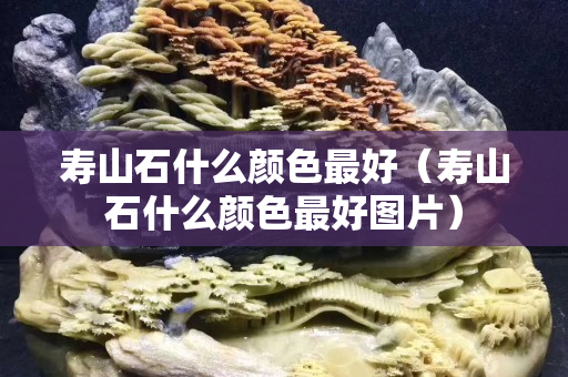 寿山石什么颜色最好（寿山石什么颜色最好图片）