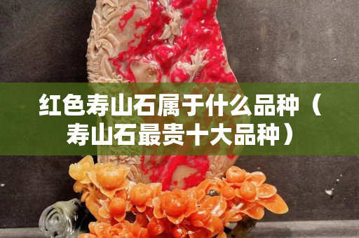 红色寿山石属于什么品种（寿山石最贵十大品种）