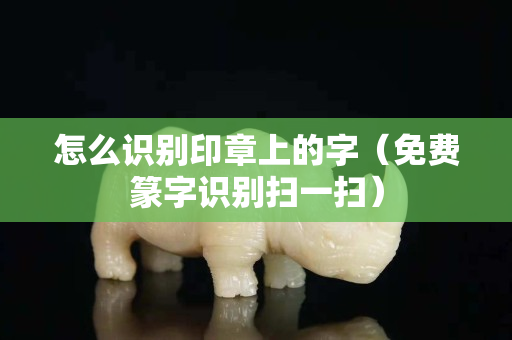 怎么识别印章上的字（免费篆字识别扫一扫）