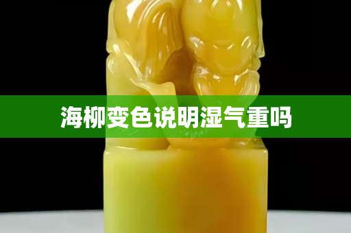 海柳变色说明湿气重吗