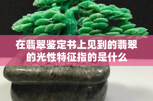 在翡翠鉴定书上见到的翡翠的光性特征指的是什么