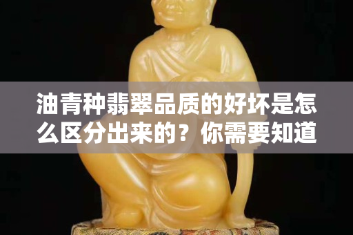 油青种翡翠品质的好坏是怎么区分出来的？你需要知道这些