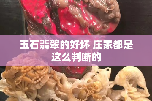 玉石翡翠的好坏 庄家都是这么判断的