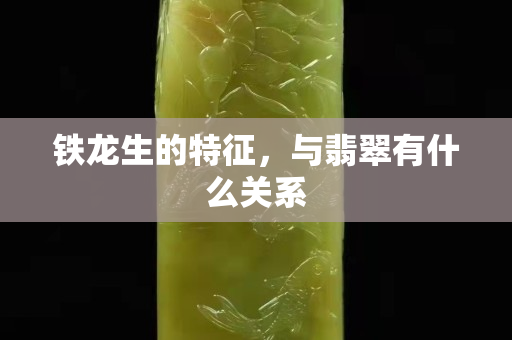 铁龙生的特征，与翡翠有什么关系