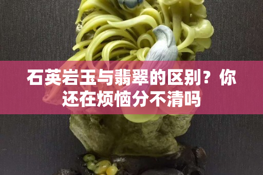 石英岩玉与翡翠的区别？你还在烦恼分不清吗