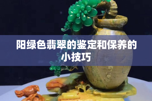 阳绿色翡翠的鉴定和保养的小技巧