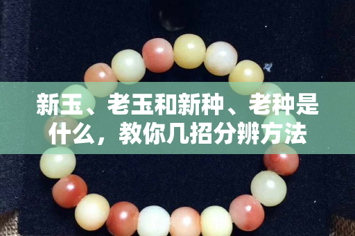 新玉、老玉和新种、老种是什么，教你几招分辨方法