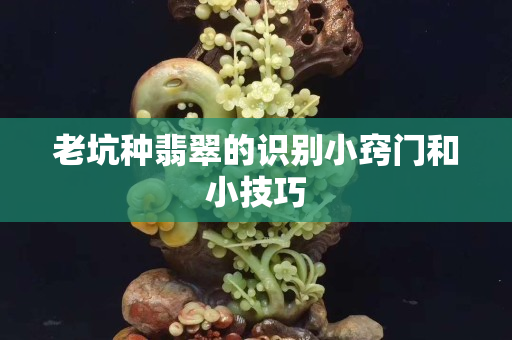 老坑种翡翠的识别小窍门和小技巧