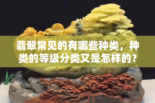 翡翠常见的有哪些种类，种类的等级分类又是怎样的？