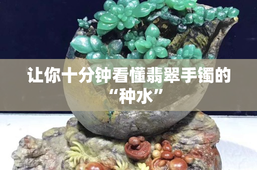 让你十分钟看懂翡翠手镯的“种水”