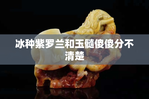 冰种紫罗兰和玉髓傻傻分不清楚