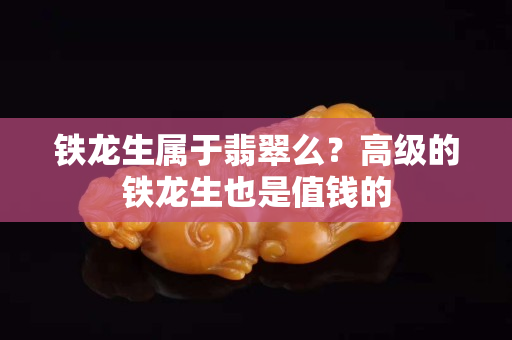 铁龙生属于翡翠么？高级的铁龙生也是值钱的