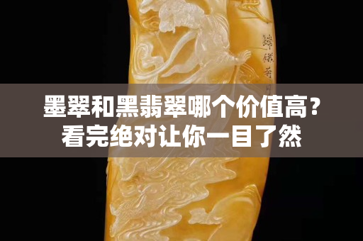 墨翠和黑翡翠哪个价值高？看完绝对让你一目了然
